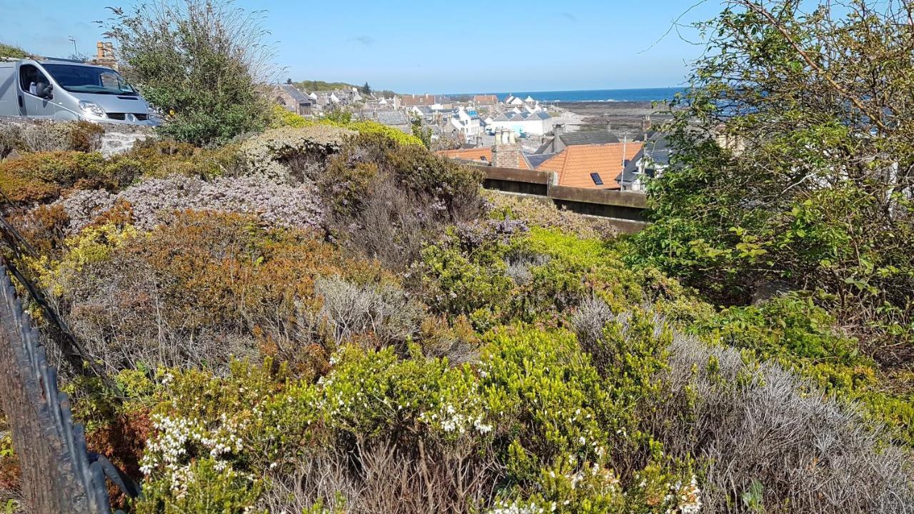 Myrtle Cottage Johnshaven Extérieur photo